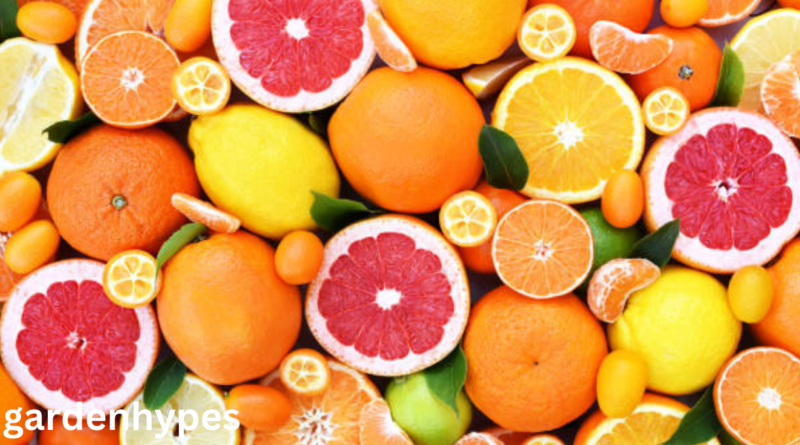 fruits that look like lemons