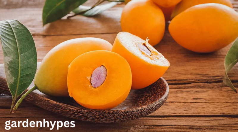 fruits that look like mango
