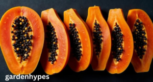 Fruits With Black Seeds