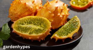 Fruits that look Like Dragon Fruit