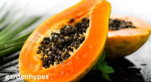 fruits that look like mango