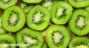 Fuzzy Fruit