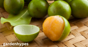 Fruits that look Like Lychee