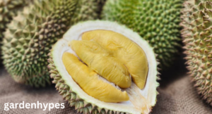 fruits that look like pineapple