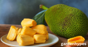 fruits that look like pineapple