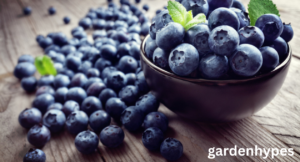 Fruits that Look Like Grapes